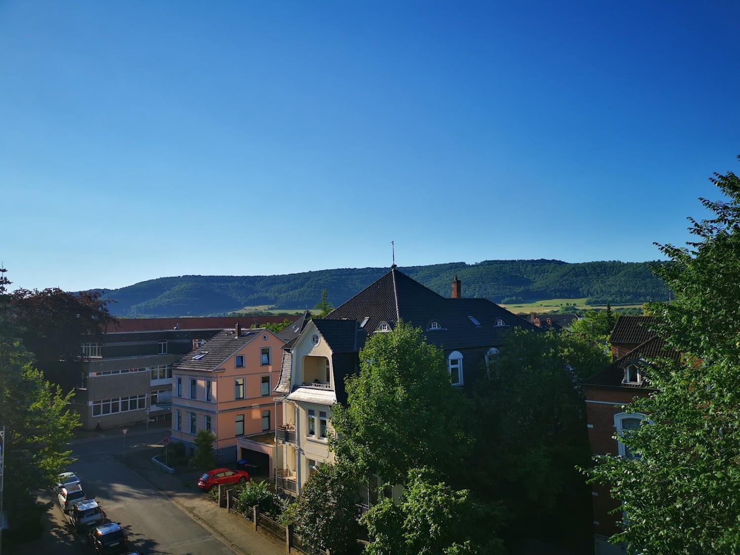 Cover Image for Heldt