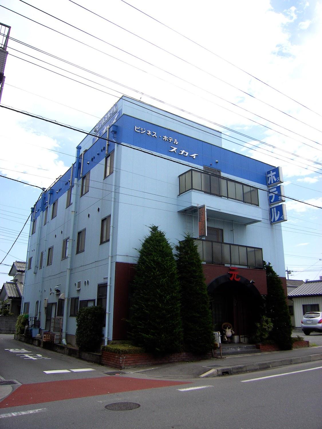 Cover Image for Business Hotel Sky