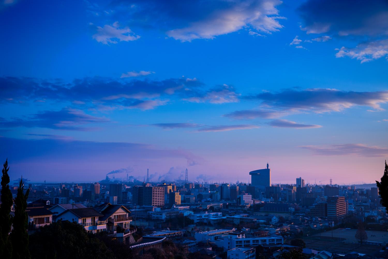 Cover Image for Hotel Nikko Oita Oasis Tower