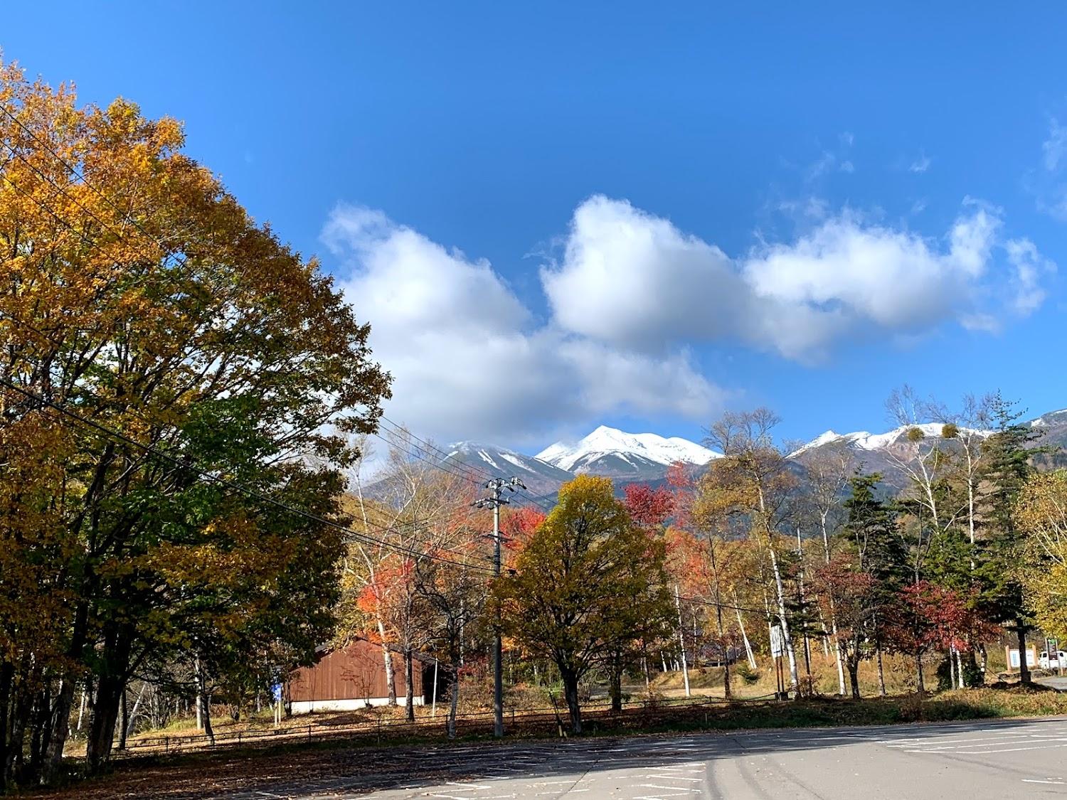 Cover Image for Lodge Yamaniso