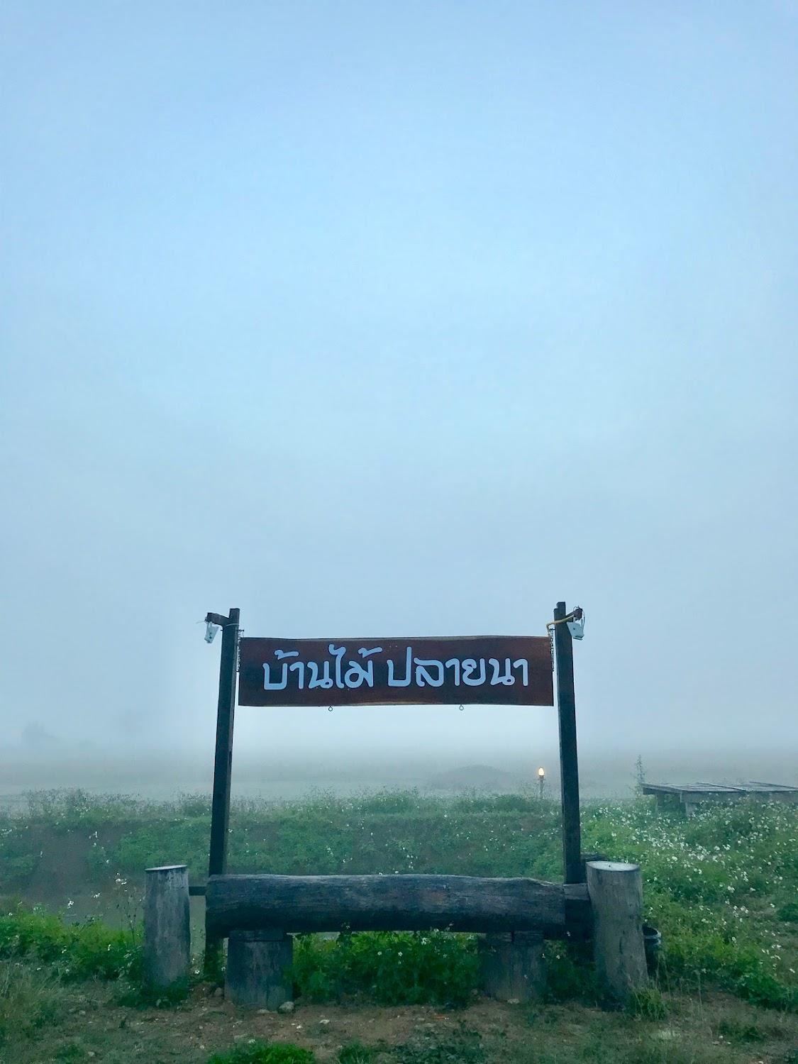 Cover Image for บ้านไม้ ปลายนา