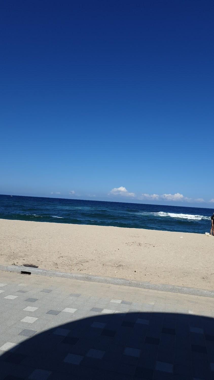 Cover Image for 용은장여관