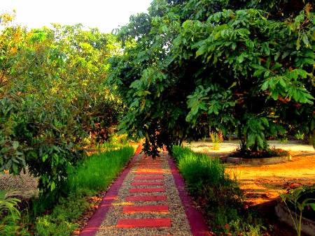 Cover Image for Bansuan Thanormpat Resort