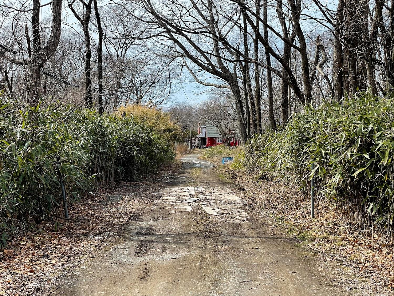 Cover Image for Tomy’s Log House In The Wood林の中のトミーズログハウス