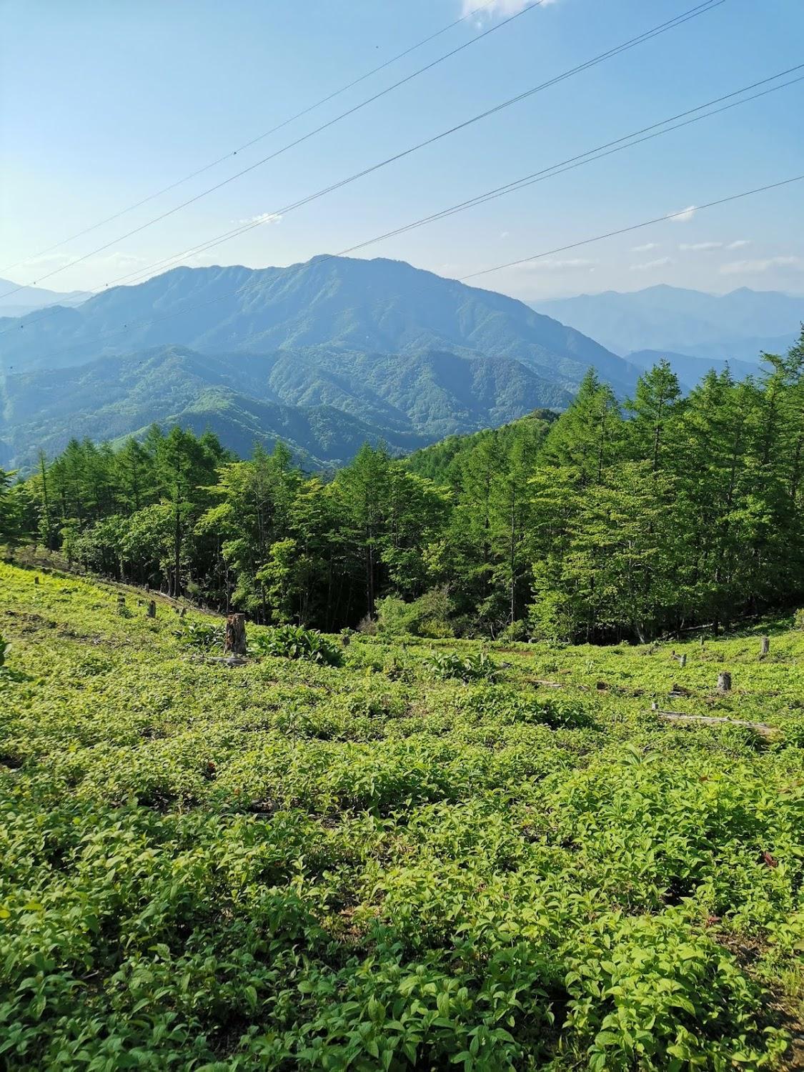 Cover Image for 悠晏 YouAn