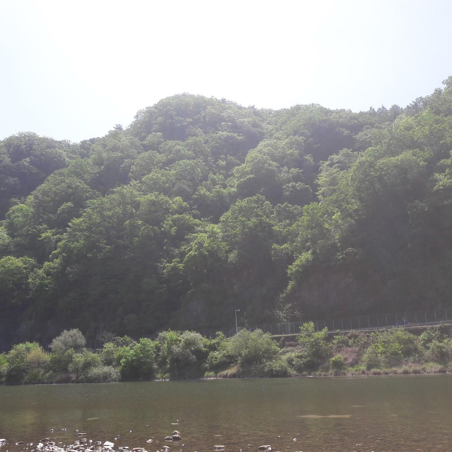 Cover Image for 몰디브모텔