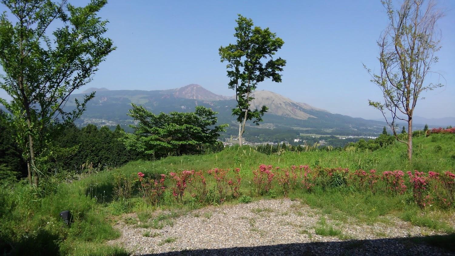 Cover Image for RYOKAN KONOMAMA
