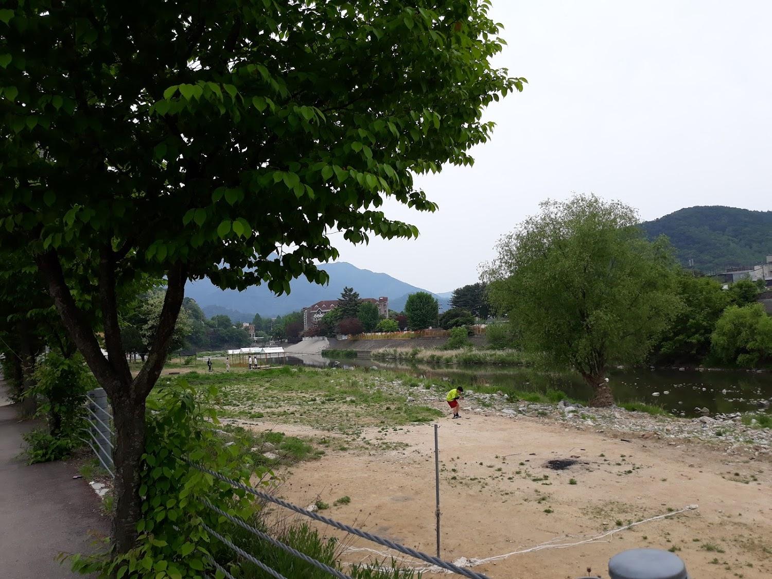Cover Image for 그린몽키