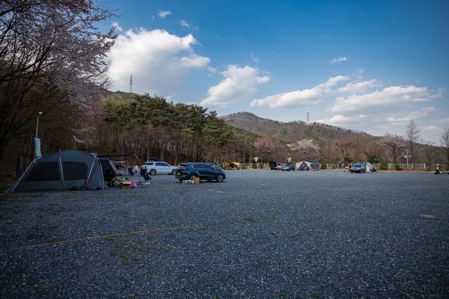 Cover Image for 제천카라반 더그린