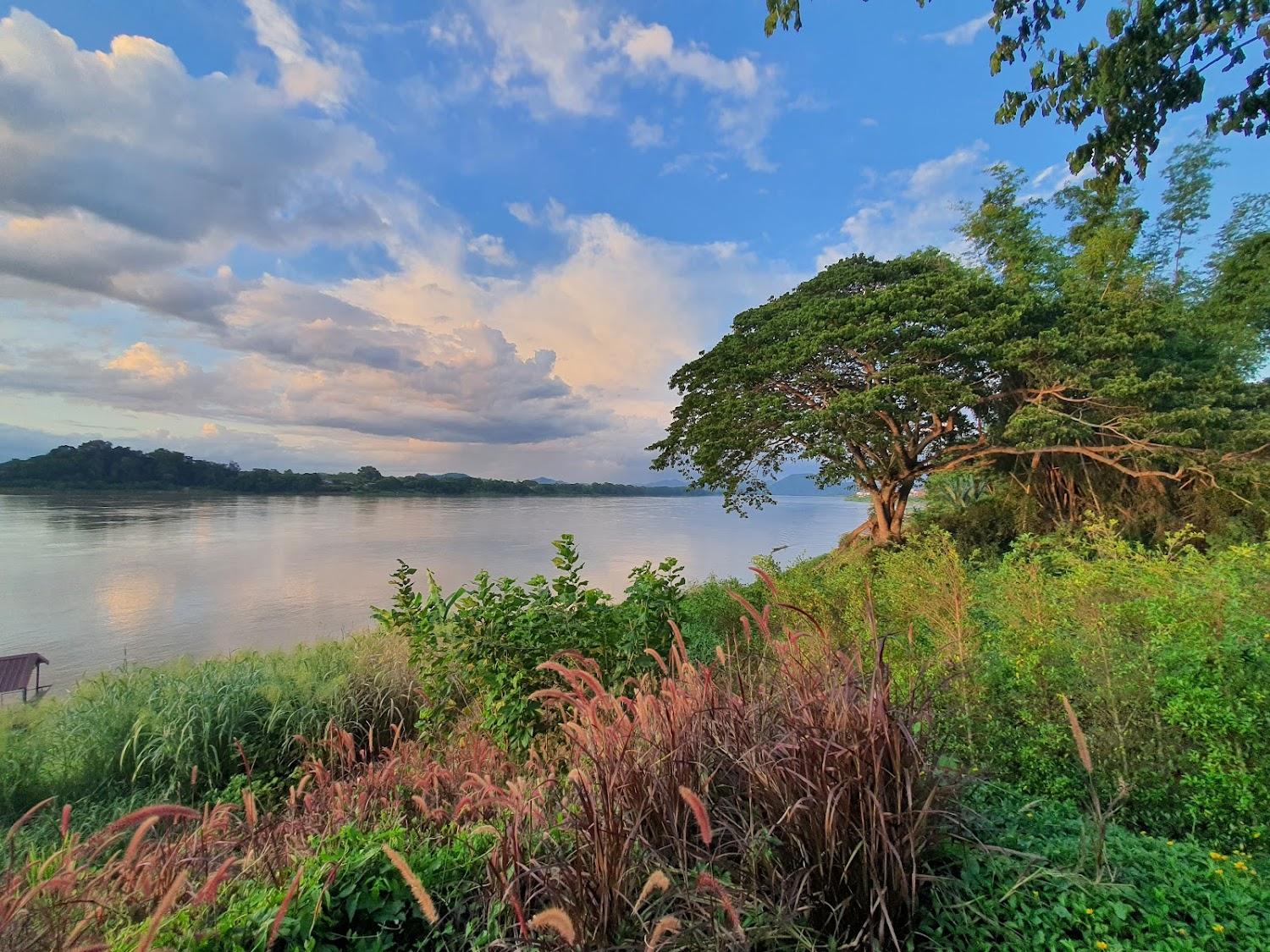 Cover Image for River Tree Resort, Chiang Khan