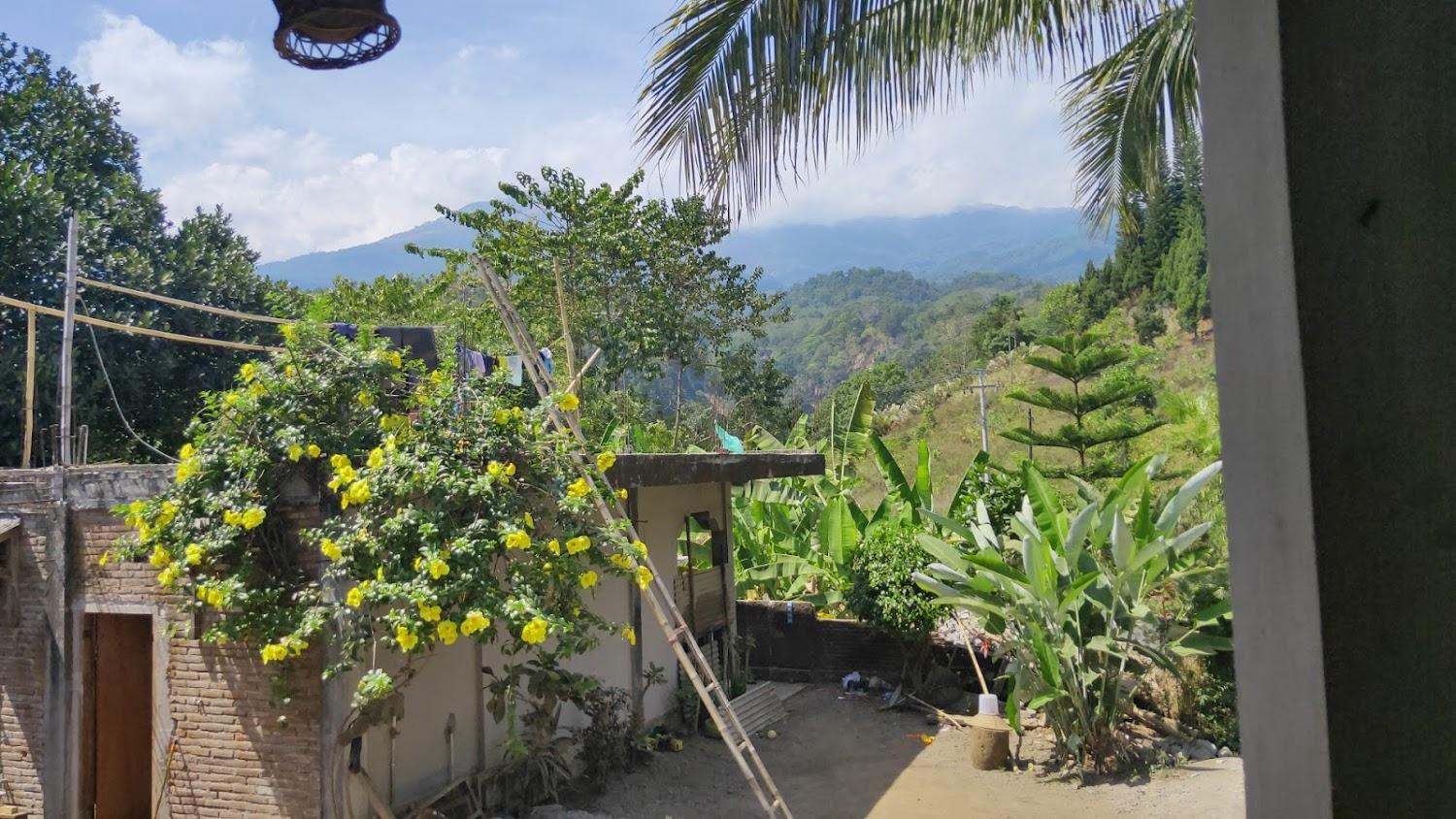 Cover Image for Blue Mountain Cottage Senaru
