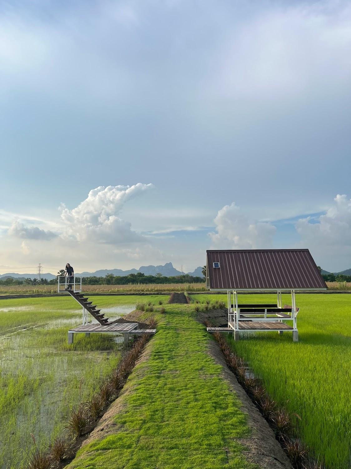 Cover Image for วันนา รีสอร์ท & ฟาร์ม