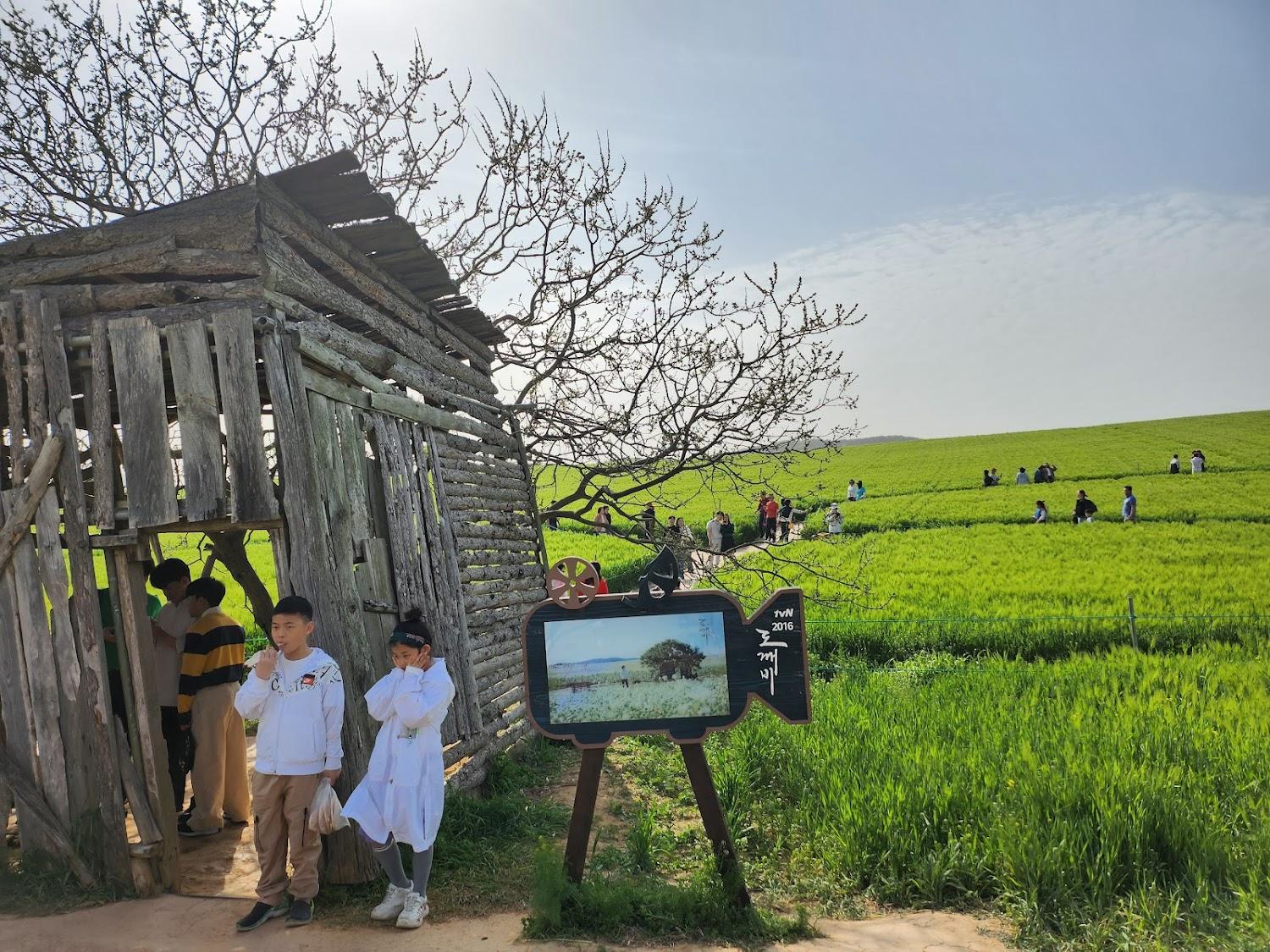 Cover Image for 코코모텔