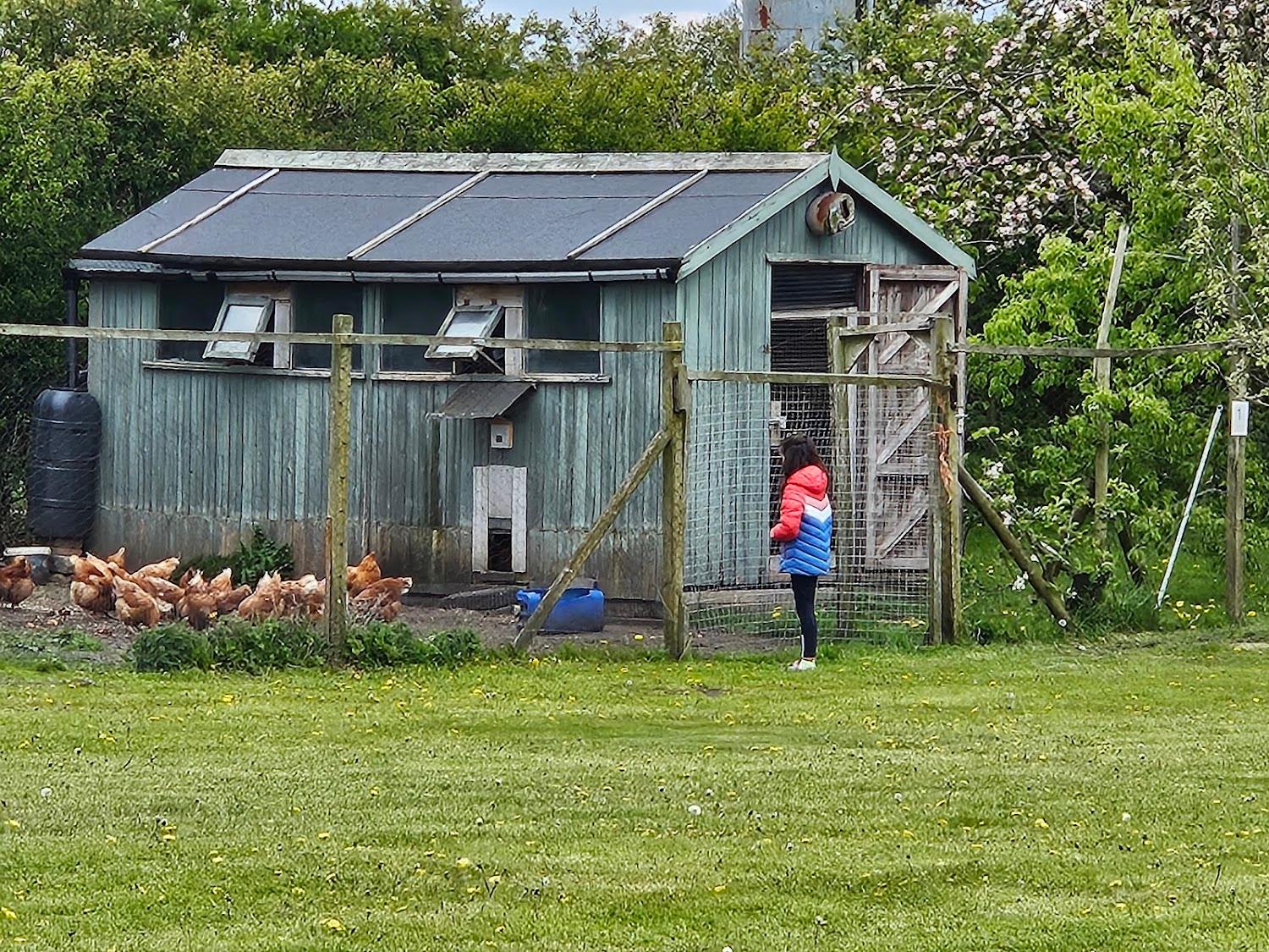 Cover Image for Hidden Corner Campsite