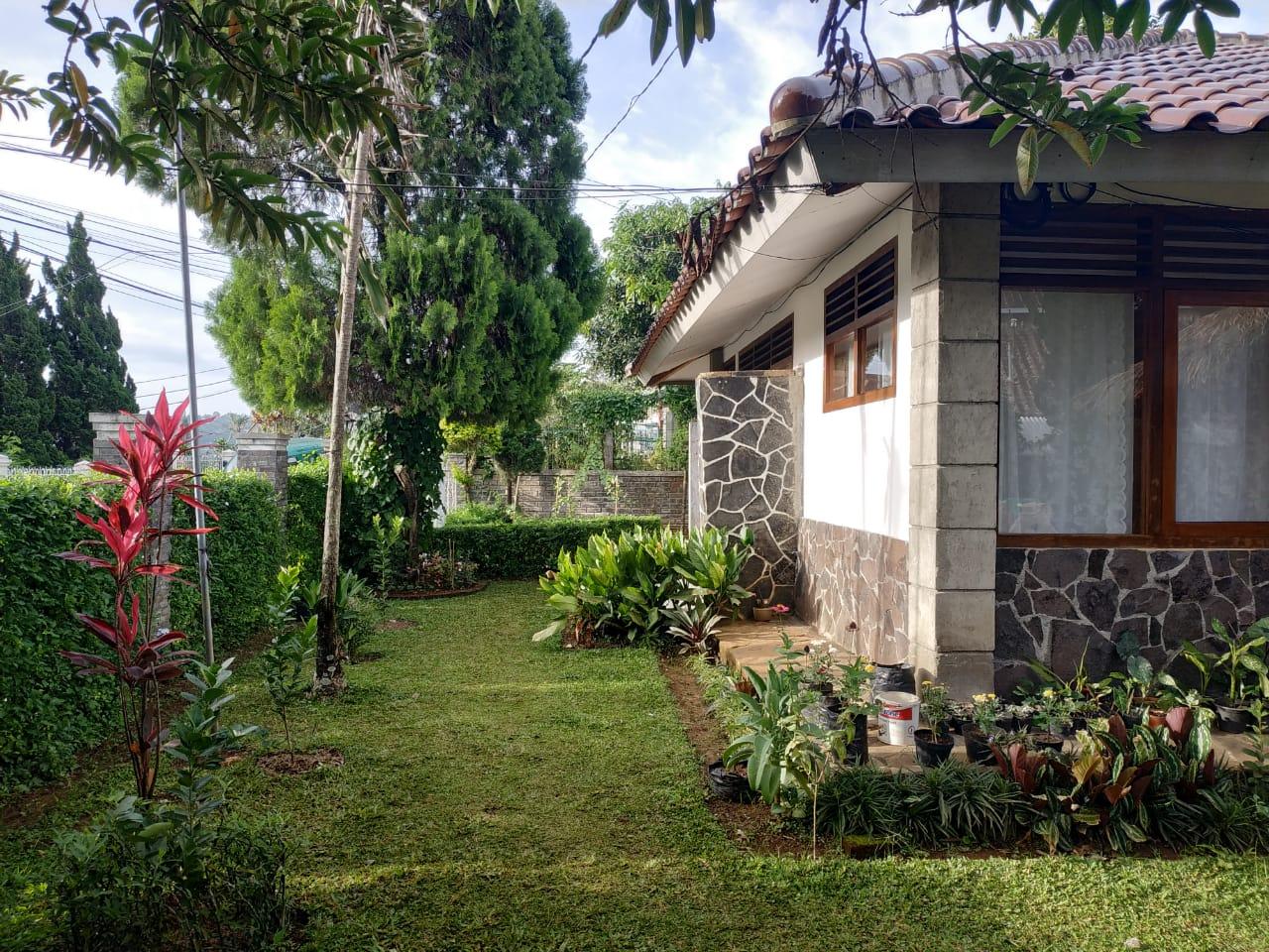 Cover Image for Dago Selatan 50