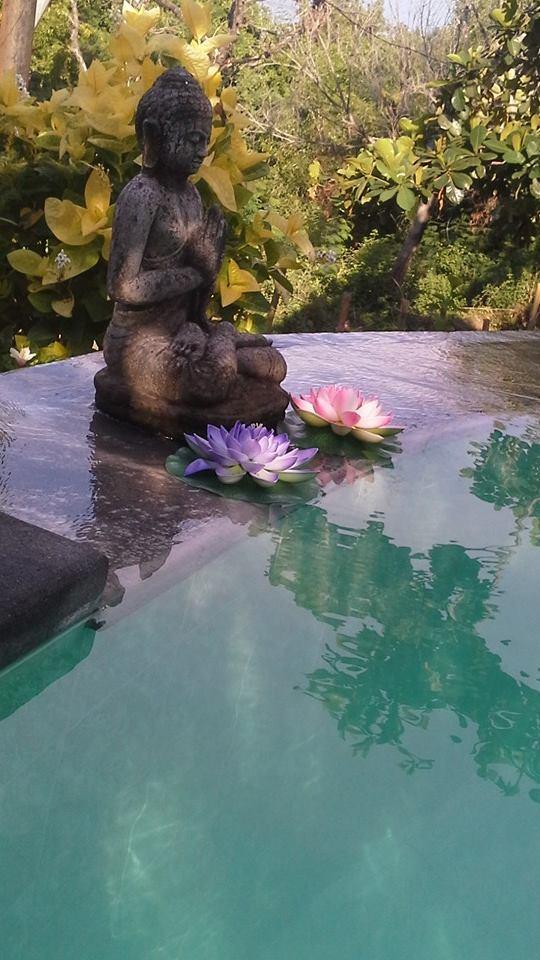 Cover Image for Amed Scuba Homestay Bali