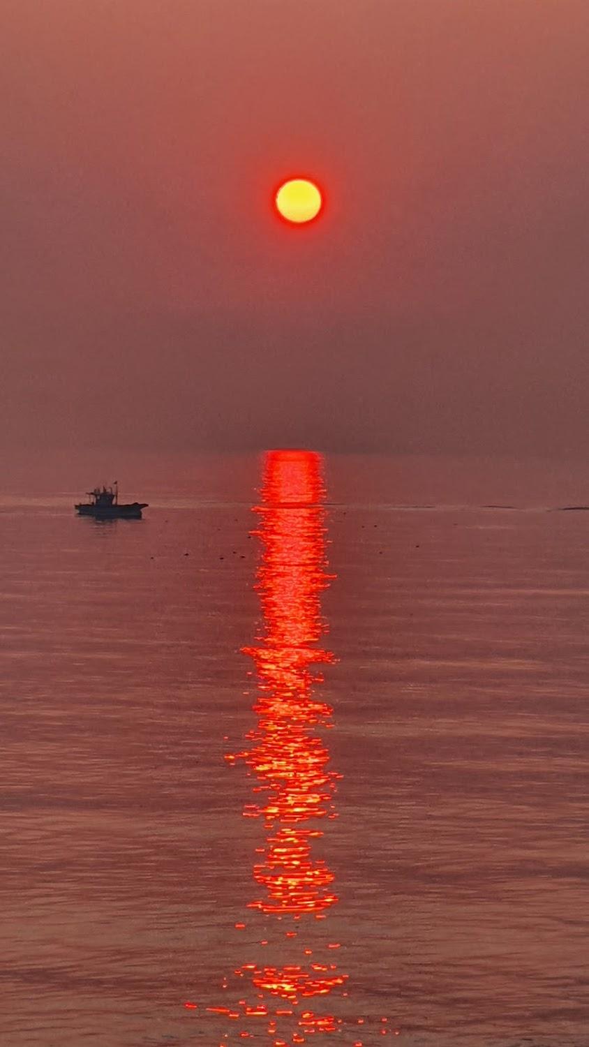 Cover Image for 동해 동해를그리다 펜션