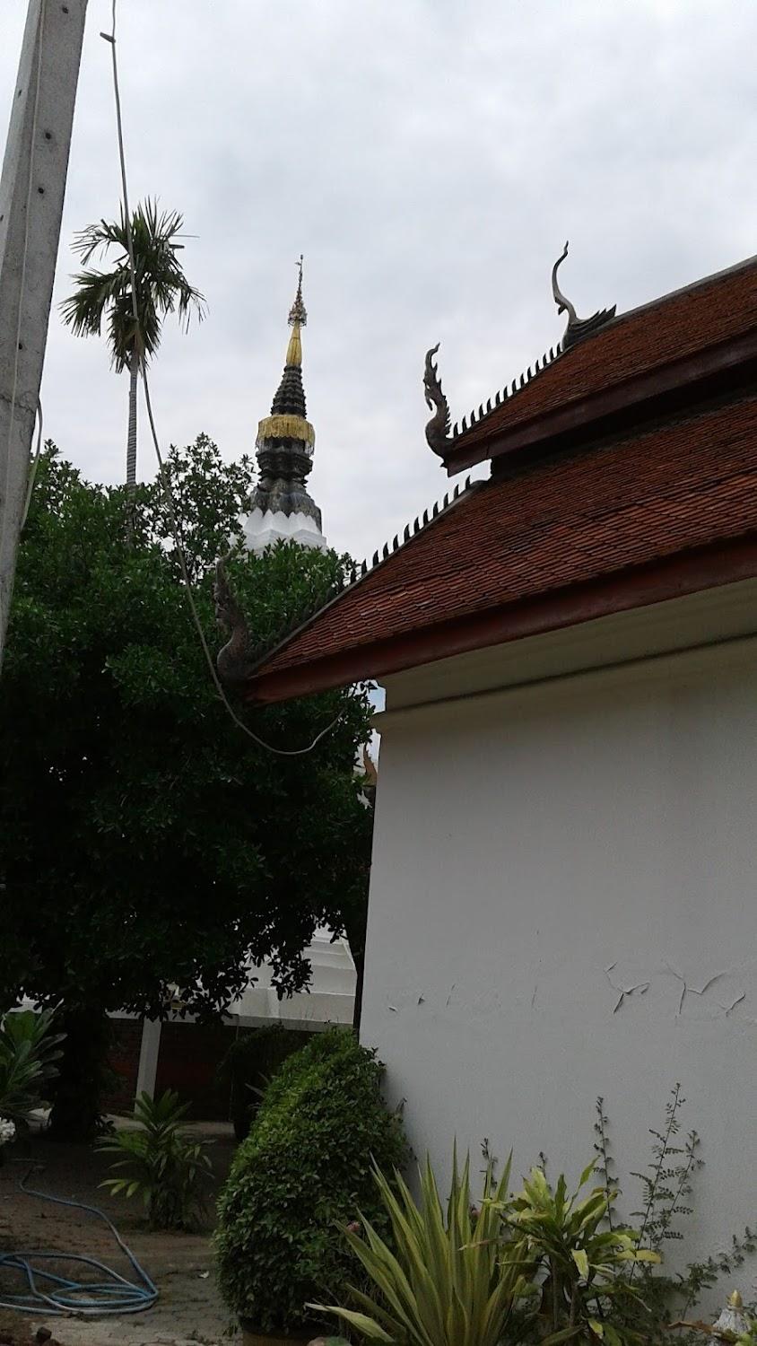 Cover Image for PSD HOTEL Chiang Mai Thailand