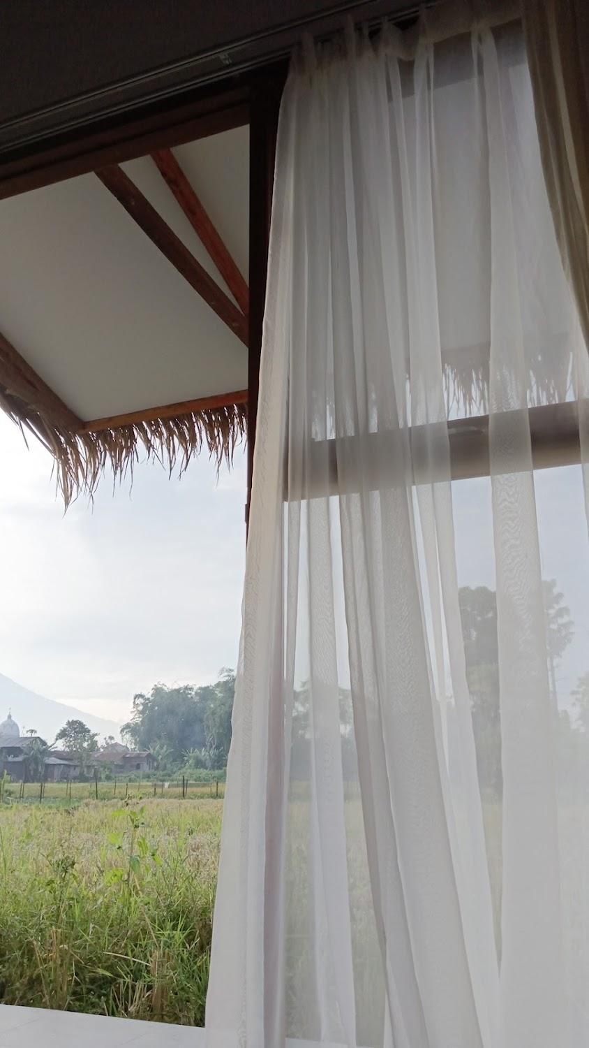 Cover Image for Bamboosa Guest House