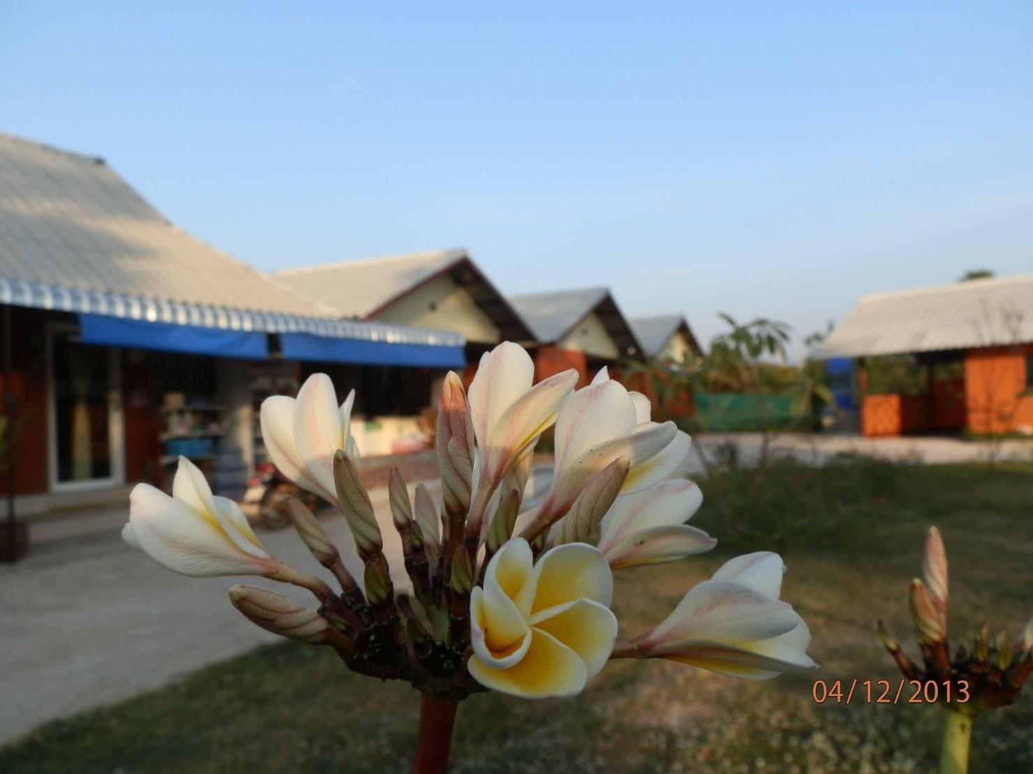 Cover Image for วังตาน้ำ รีสอร์ท