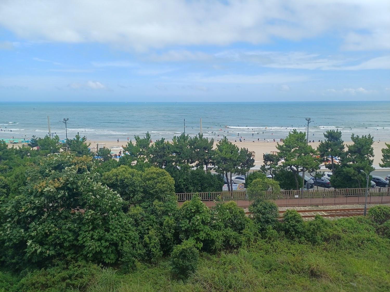 Cover Image for 부산 보다스테이 송정점