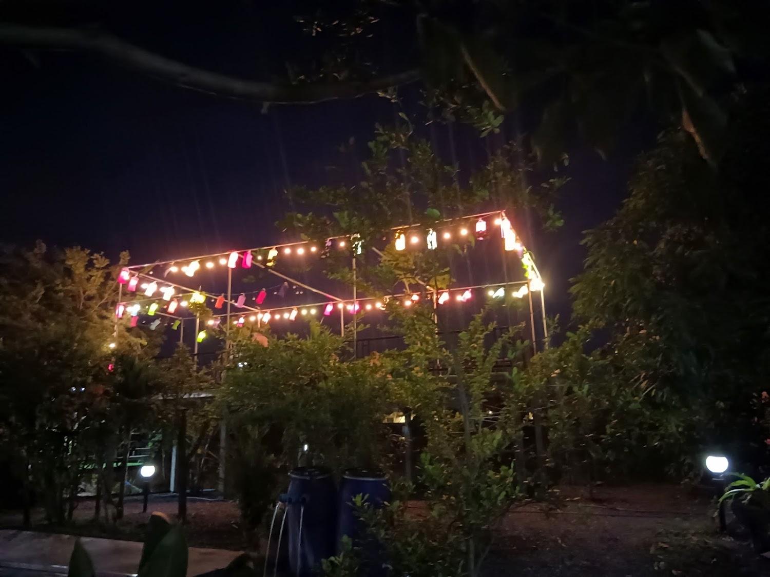 Cover Image for น้องแนนอาหารป่า