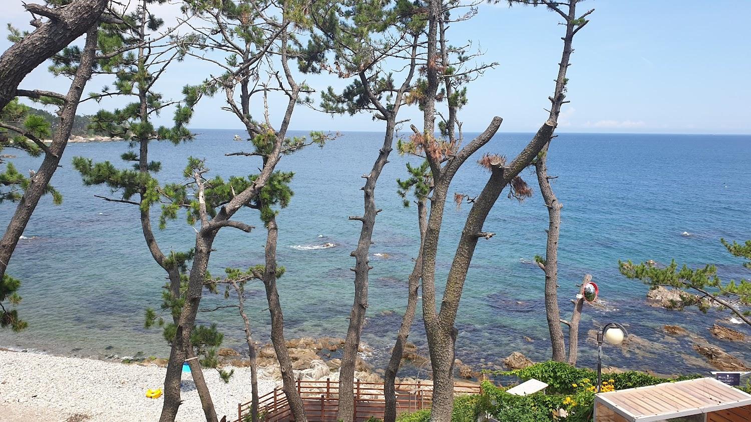 Cover Image for 달보드레 펜션