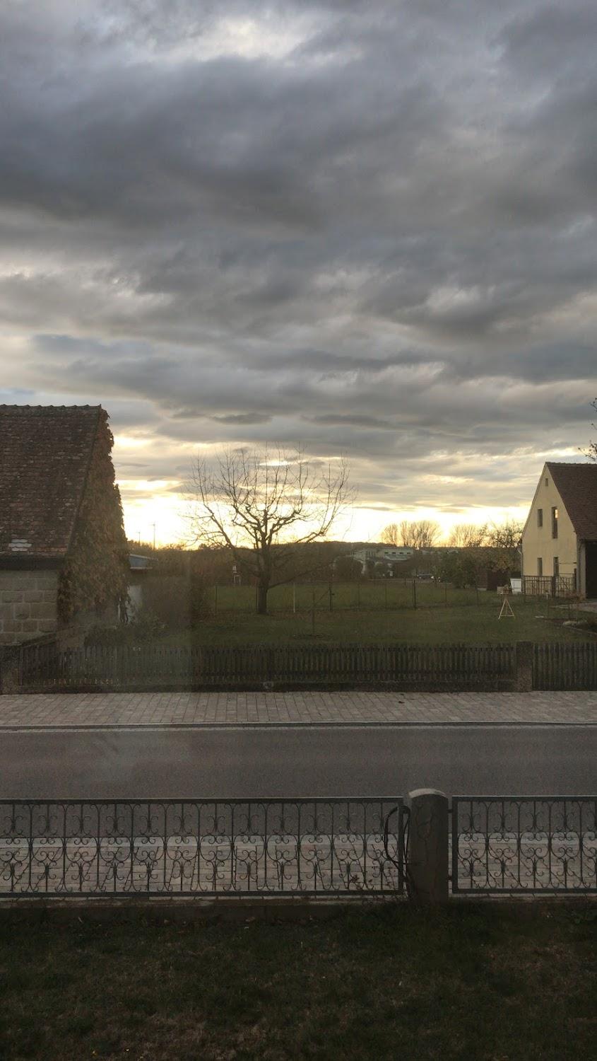Cover Image for Lamm