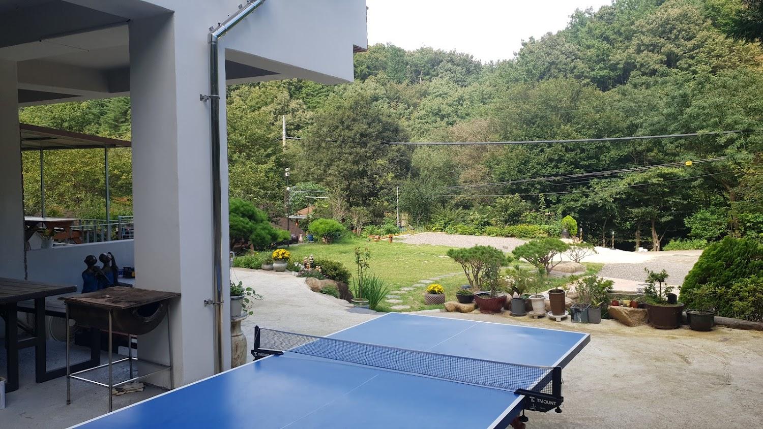 Cover Image for 대운산계곡펜션