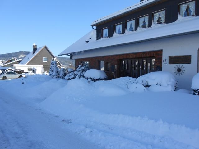Cover Image for Pension Sonnenblick
