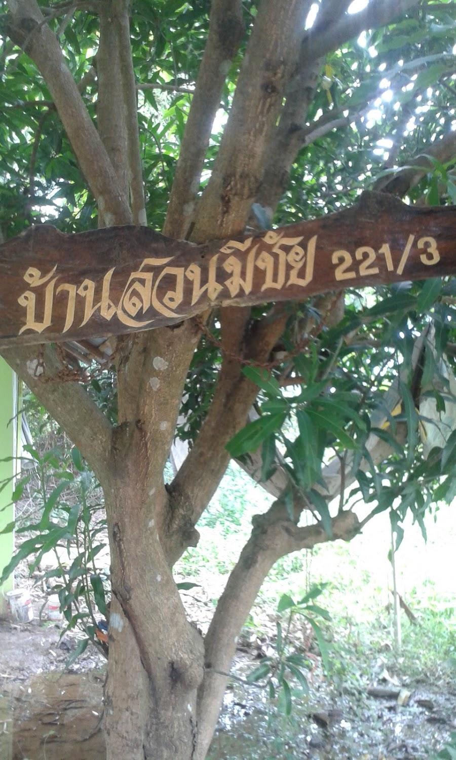 Cover Image for แก้วตารีสอร์ต