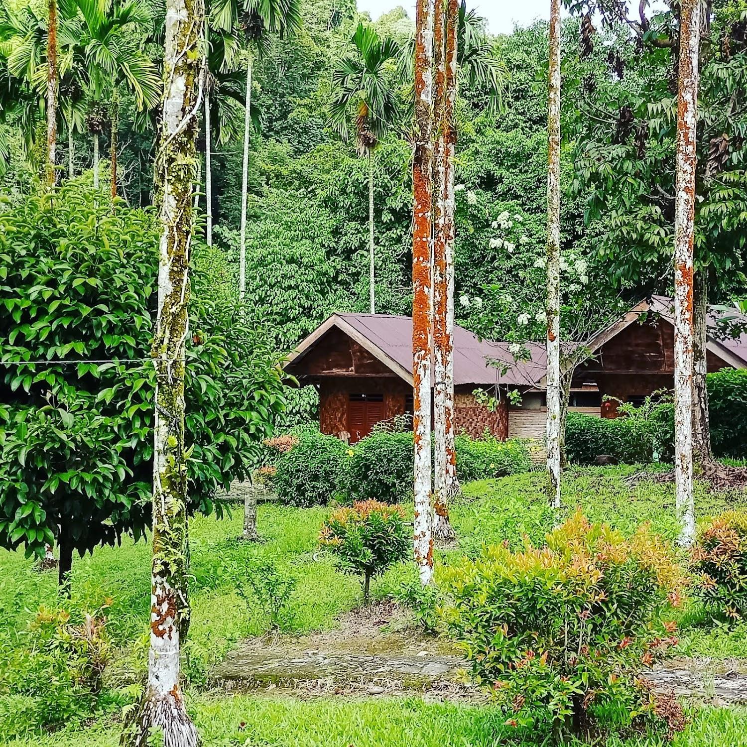 Cover Image for Green Lodge Tangkahan