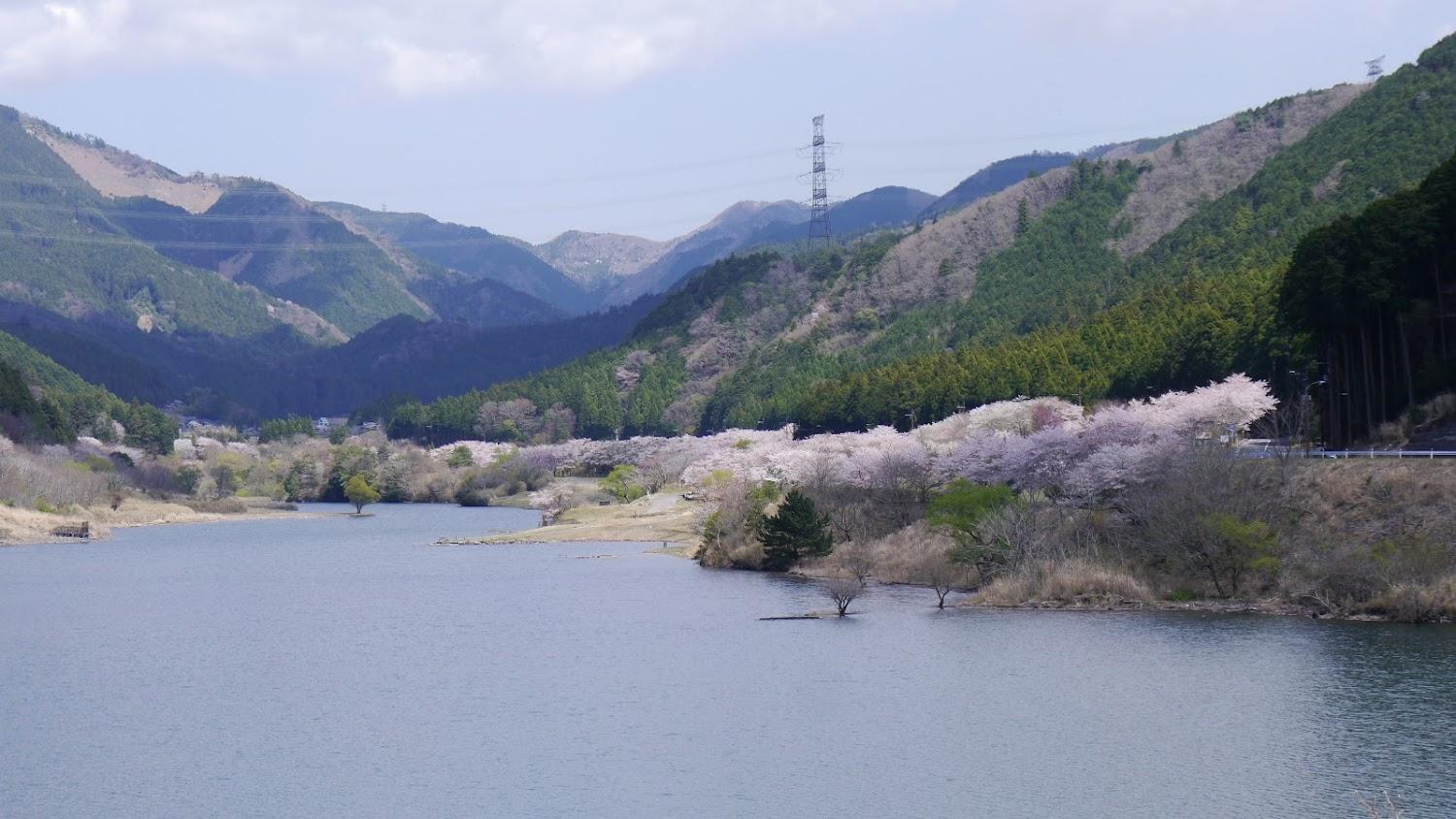 Cover Image for Ozuchi Dam Eco Valley Campsite