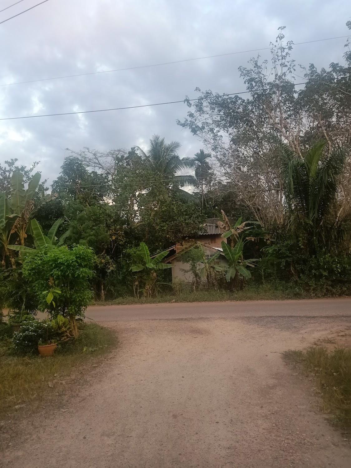 Cover Image for Baan Lompai