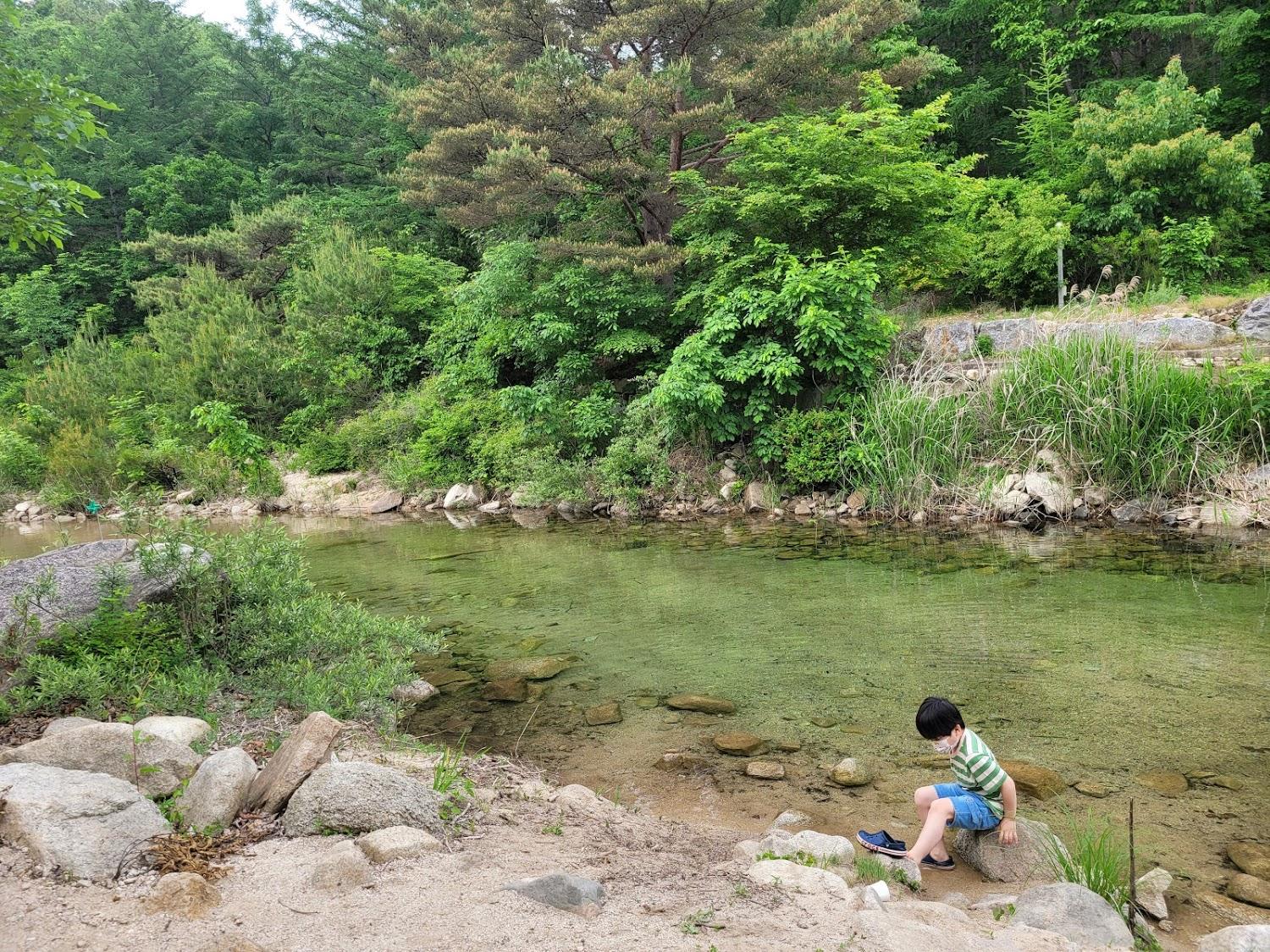 Cover Image for 햇살고요캠핑장