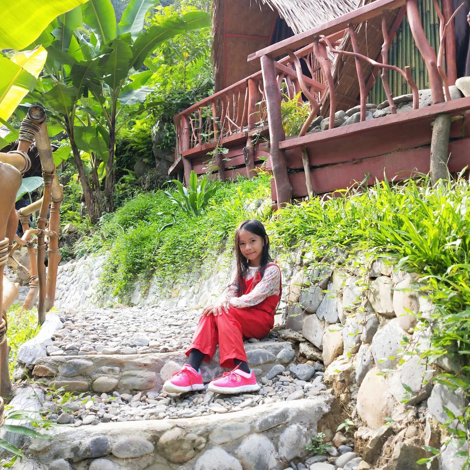 Cover Image for The Jungle Retreat