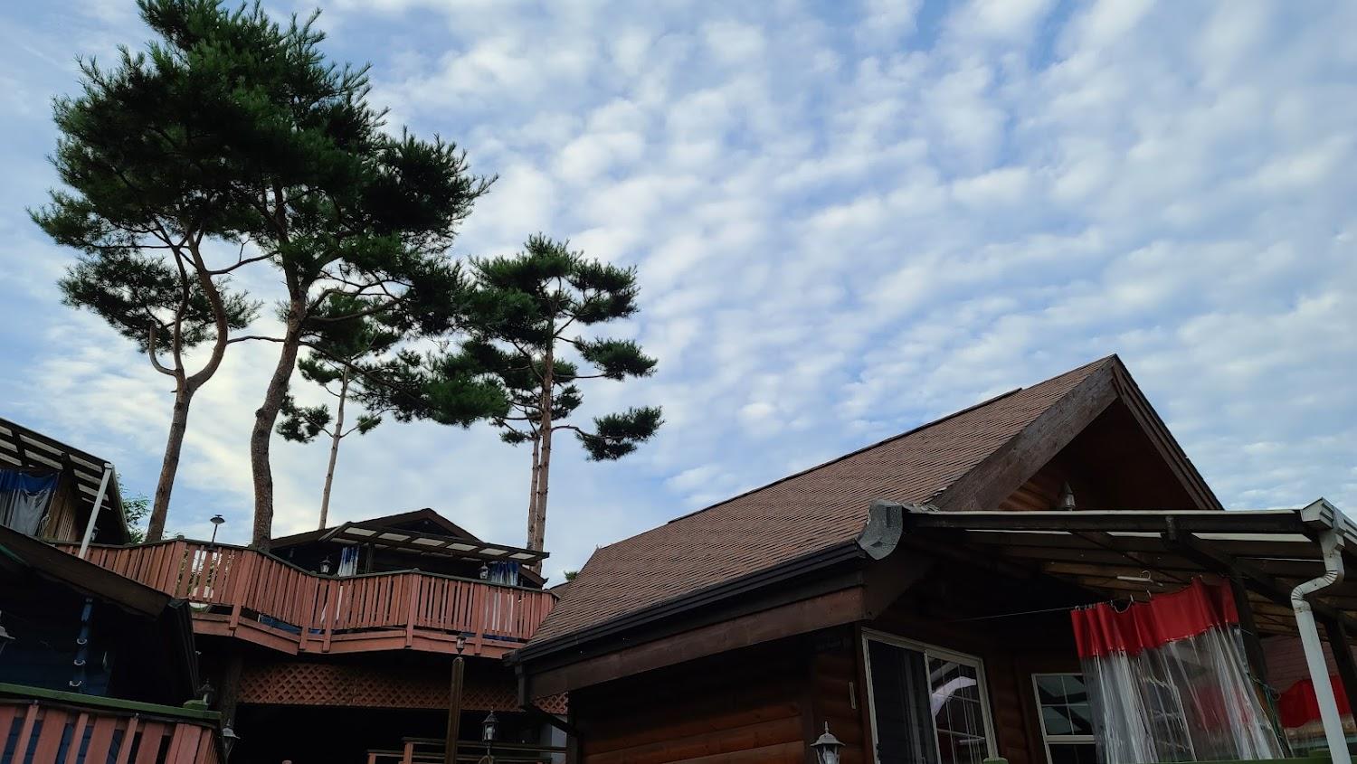 Cover Image for 소나무이야기펜션