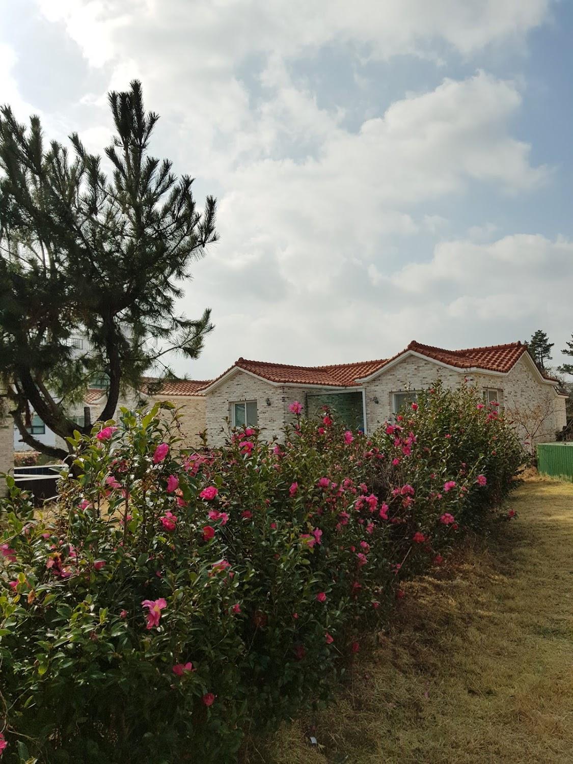 Cover Image for 오션빌리지3차 펜션