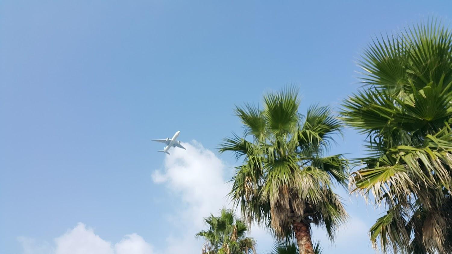 Cover Image for 파크빌리지