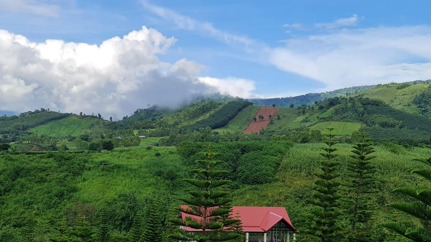 Cover Image for De Monte Khao Kho