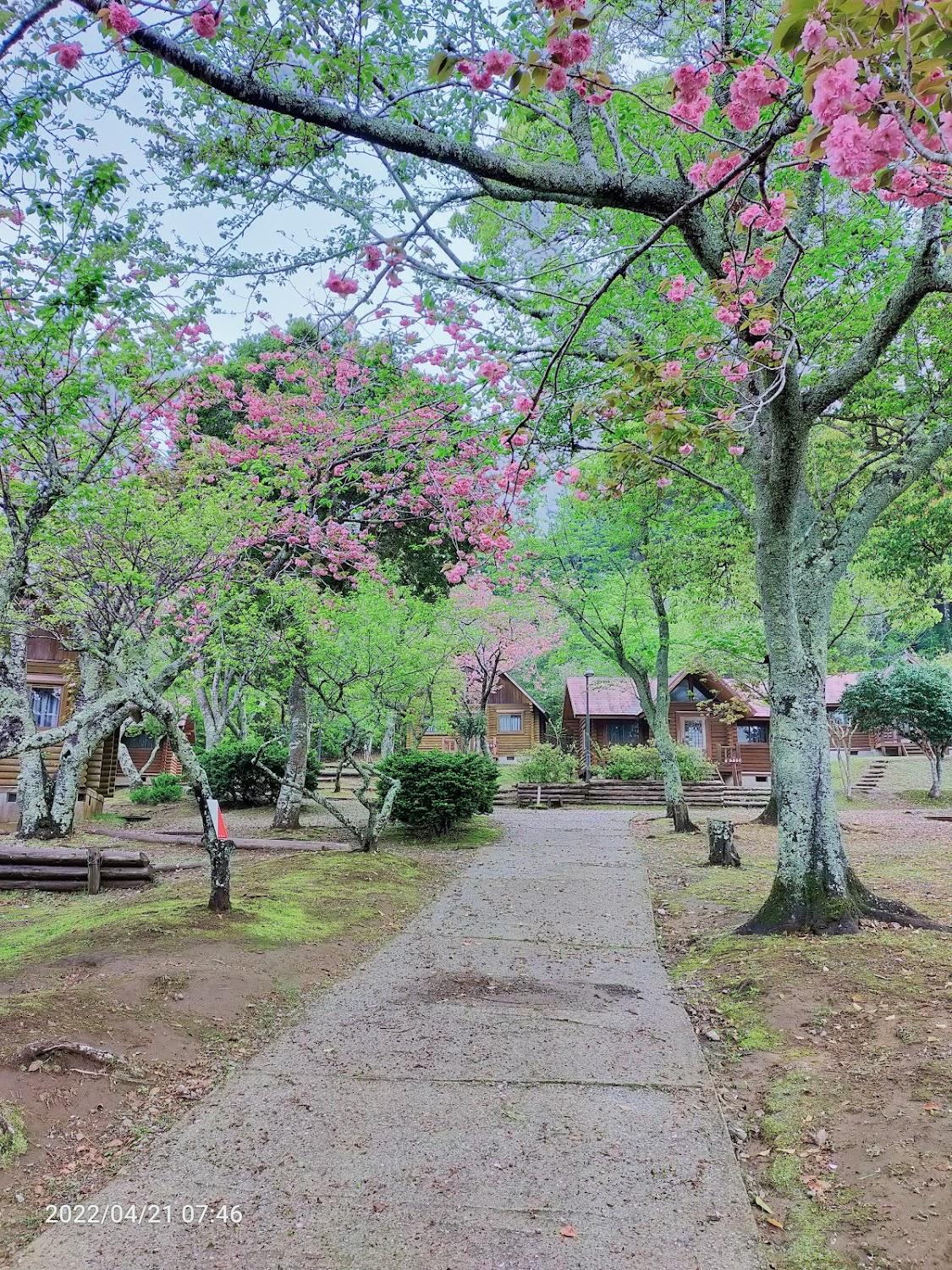Cover Image for Chiba Prefectural Mt.Uchiura Seseragi.