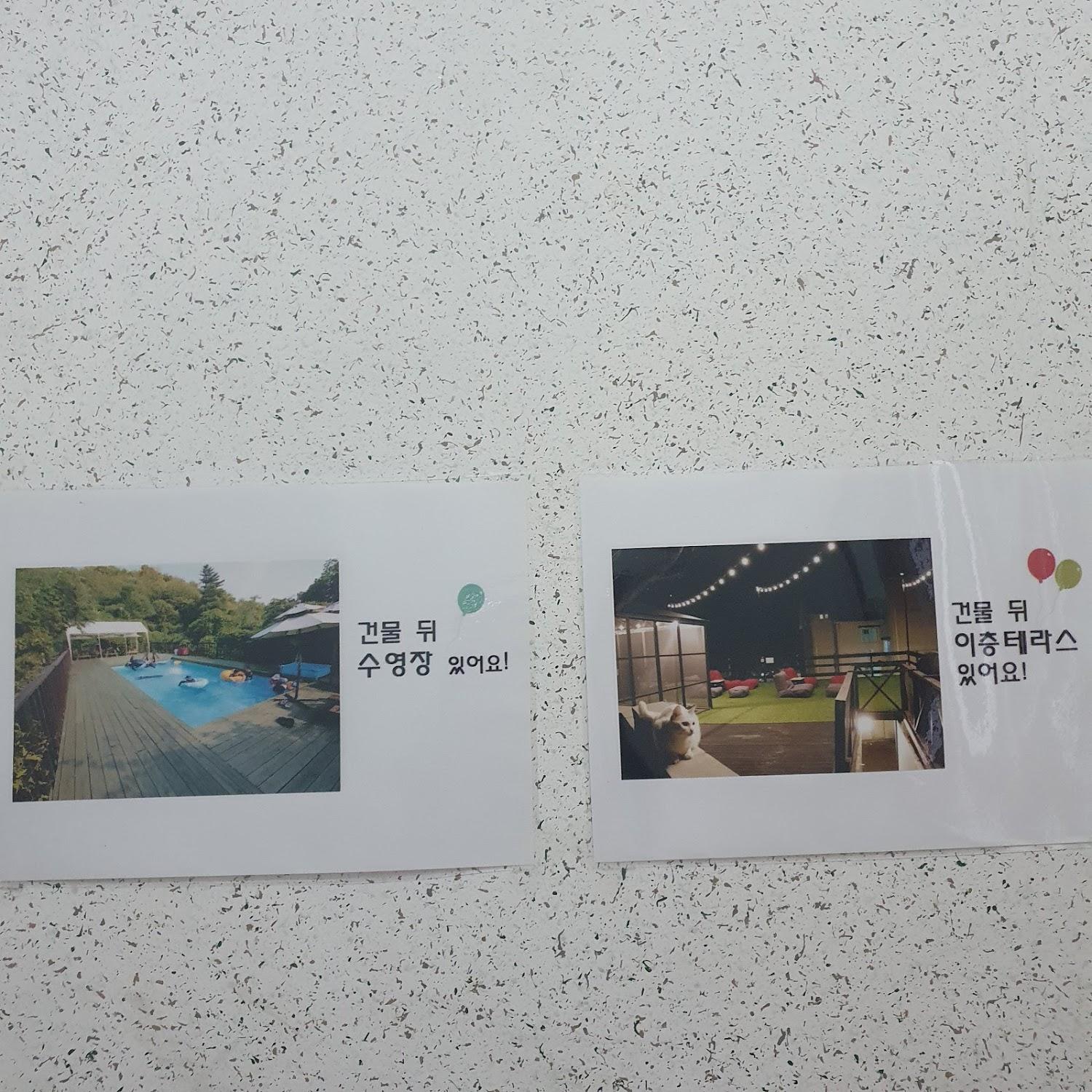 Cover Image for 강촌마운틴펜션