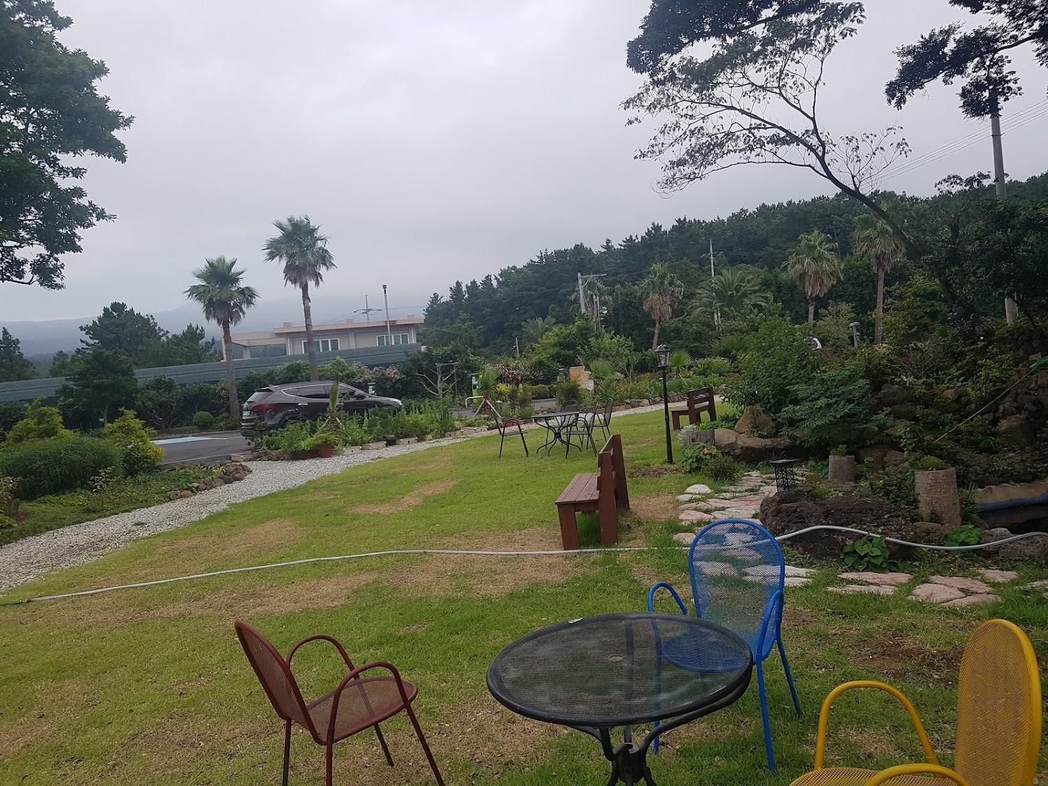Cover Image for Jeju M Resort