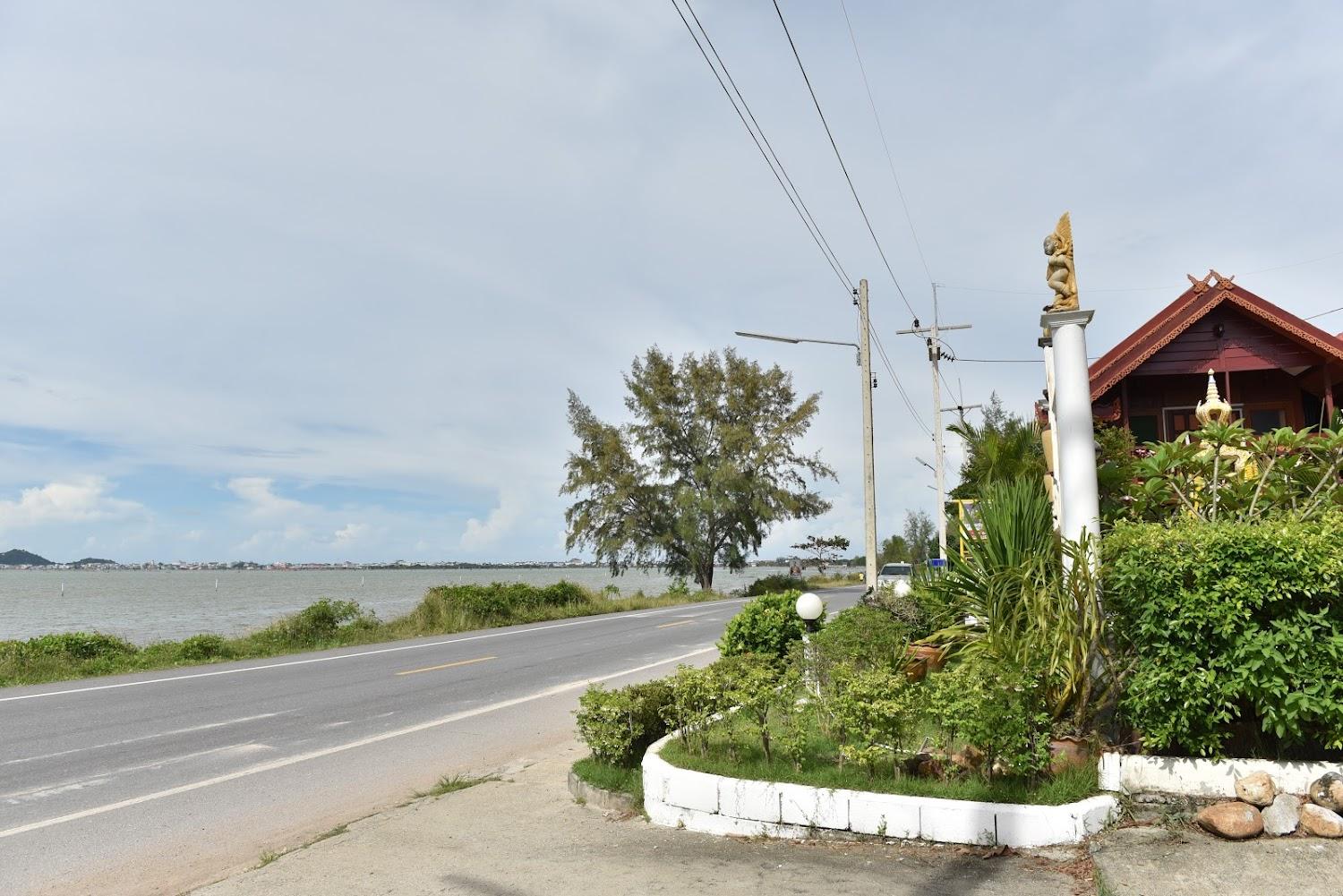 Cover Image for เรือนไม้ ชายเล