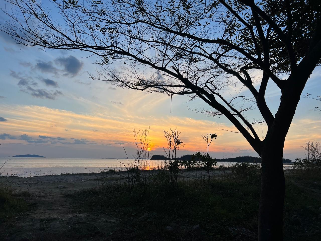 Cover Image for 대부도비치펜션