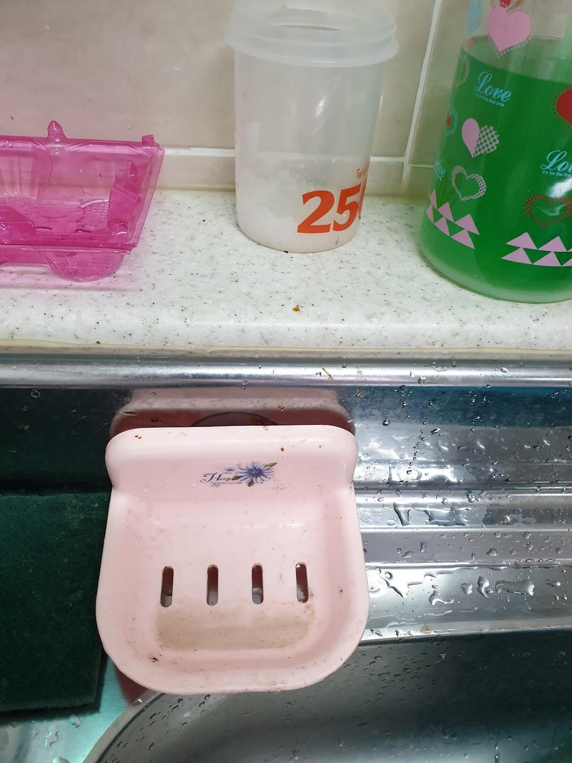 Cover Image for 그린피아펜션