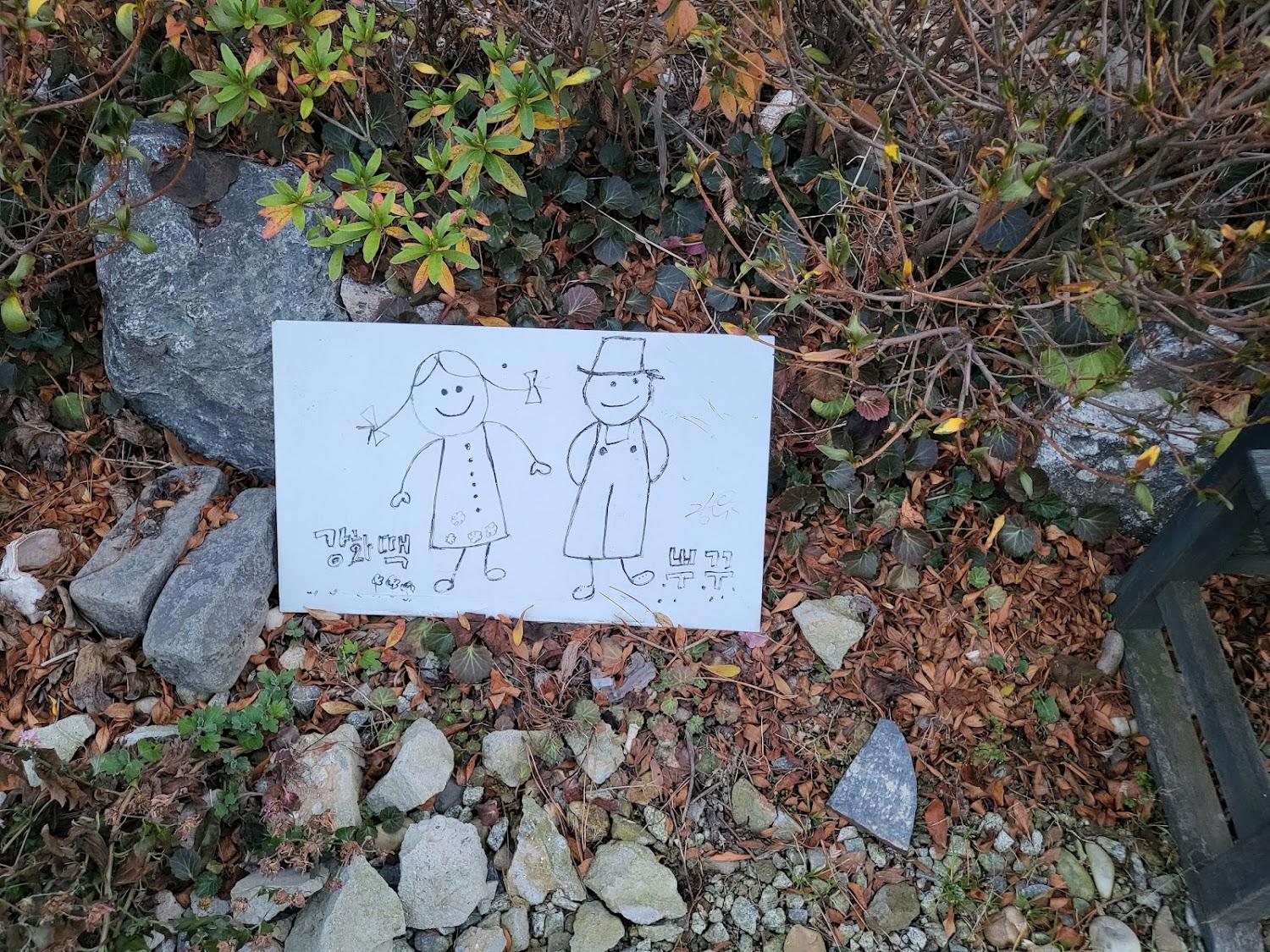 Cover Image for 펜션499