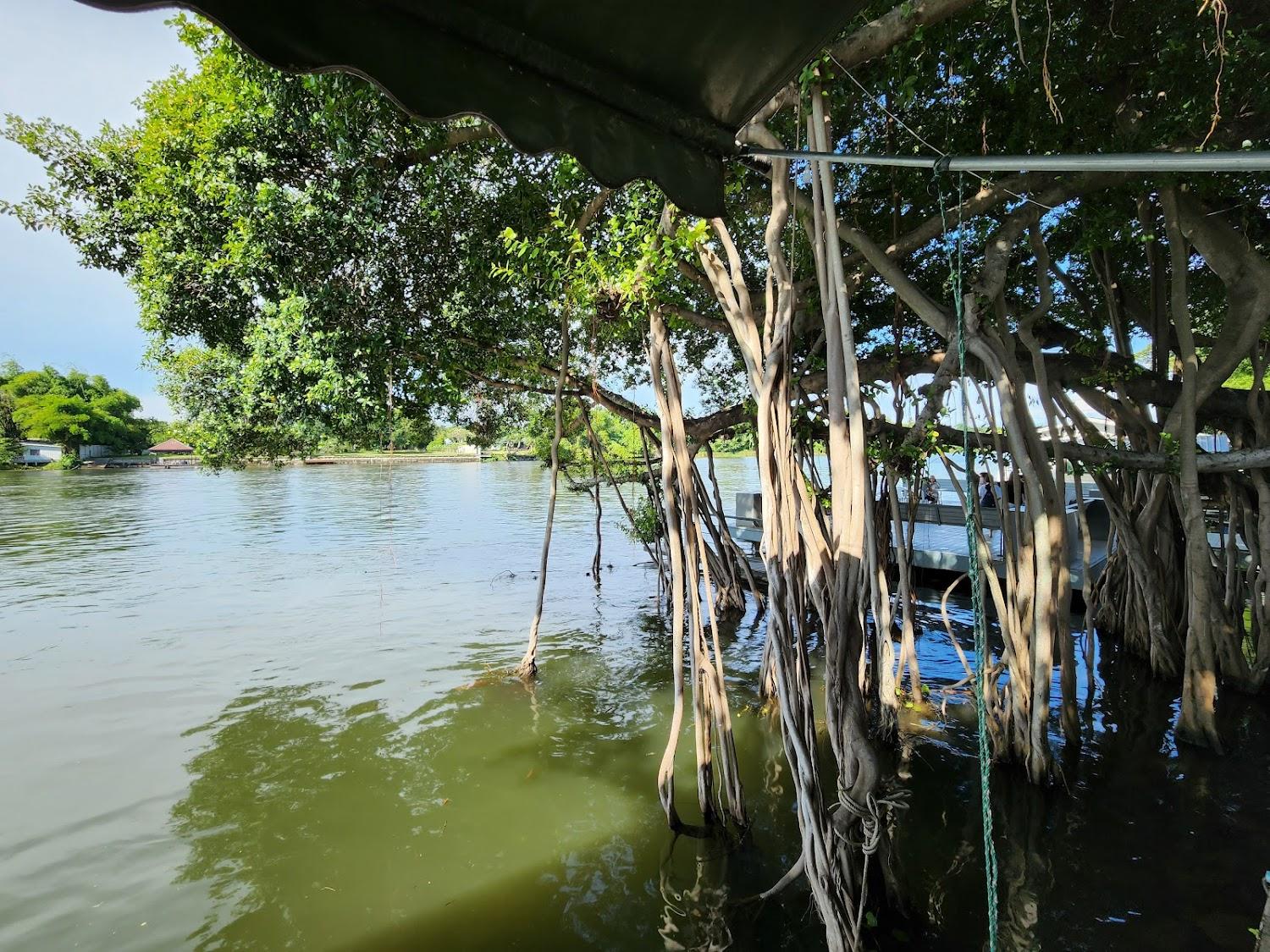 Cover Image for The Zeit River Kwai