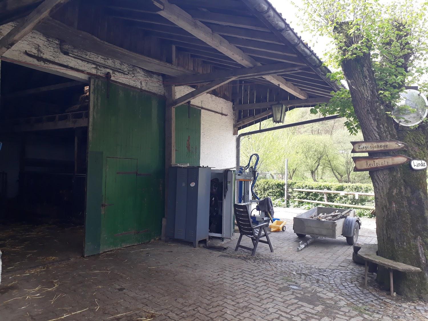 Cover Image for Bilderbuchbauernhof Hubertushof