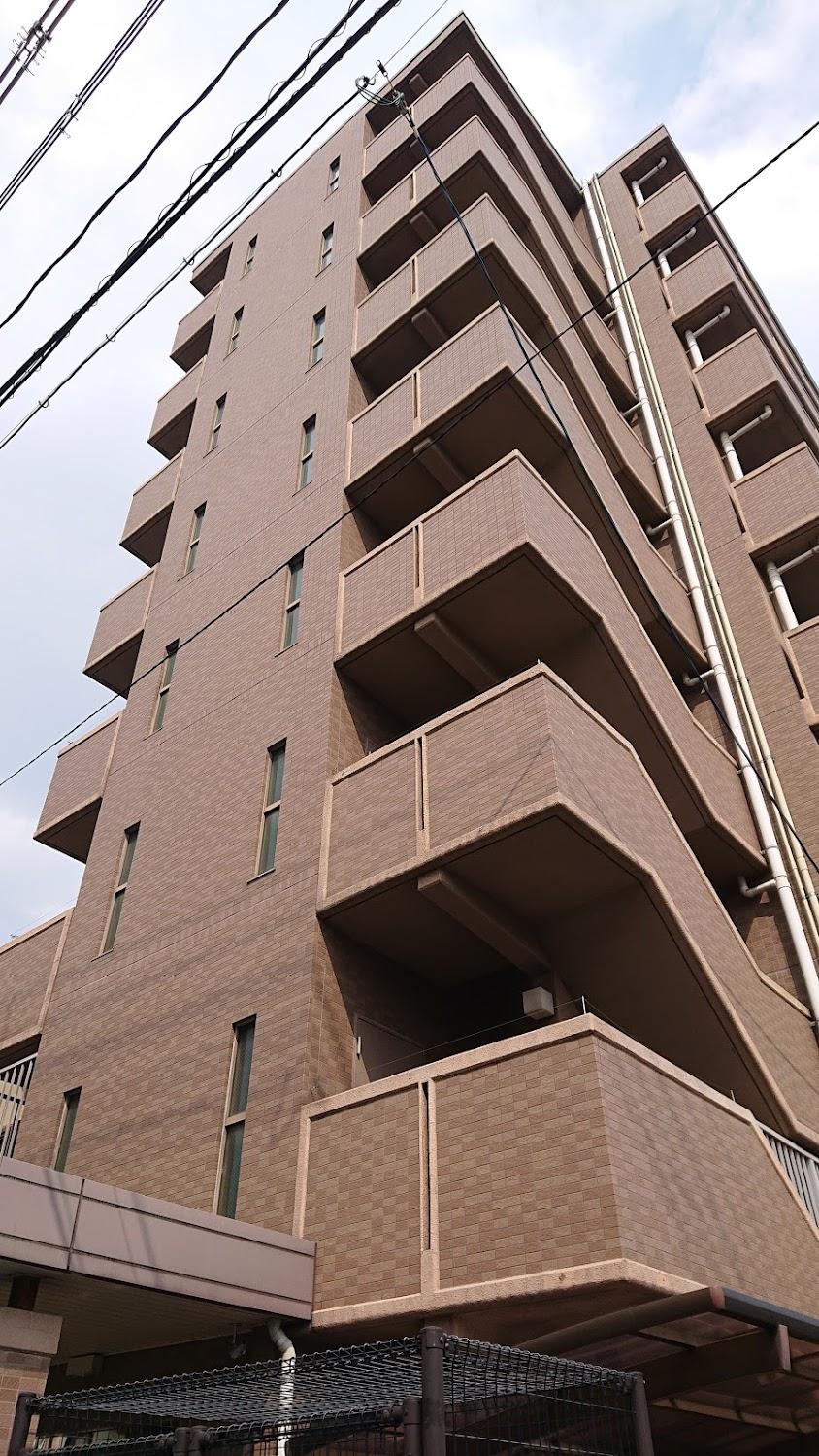 Cover Image for ARENA HOUSE